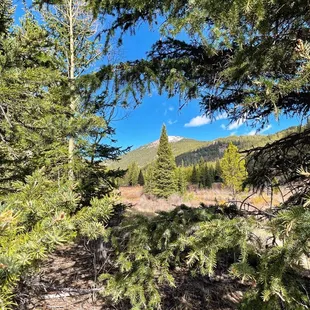 Rich Creek Trail (5/27/23)