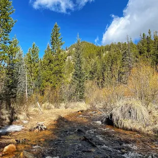 Rich Creek Trail (5/27/23)