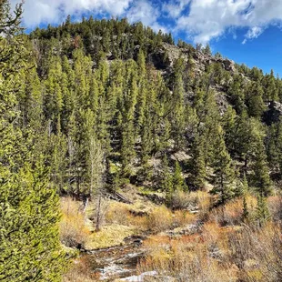 Rich Creek Trail (5/27/23)