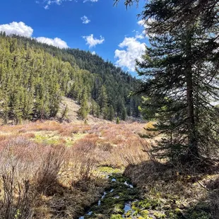 Rich Creek Trail (5/27/23)