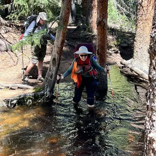 If you are too scared to use the fallen trees....ya gonna get wet
