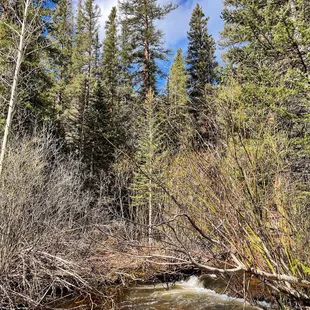 Rich Creek Trail (5/27/23)