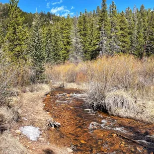 Rich Creek Trail (5/27/23)
