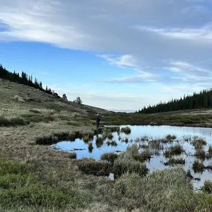 So the trout are about 4-5" ( catch and release) but it's a fun thing to do.