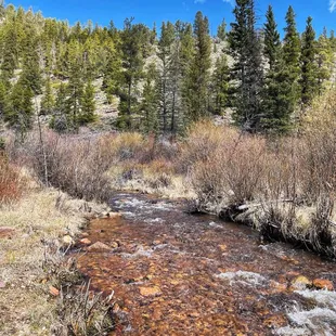 Rich Creek Trail (5/27/23)