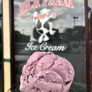 Rich Farm Ice Cream