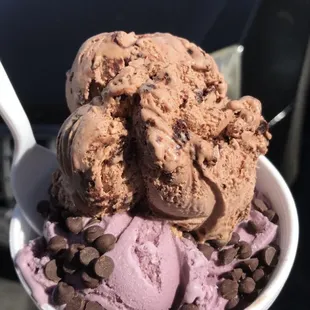Black raspberry, German chocolate, dark chocolate chips