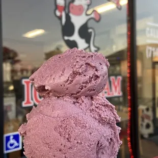 Small black raspberry