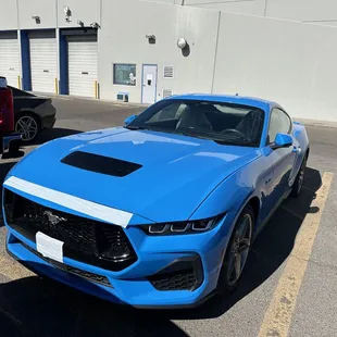 GT mustang 24' Grabber Blue