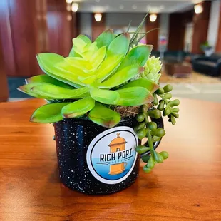 Plants on the tables