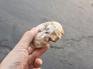 Sophia's Donuts & Sandwiches