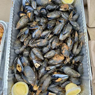 Steamed Mussels and Clams