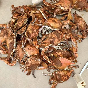 Crab