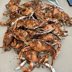 Crab