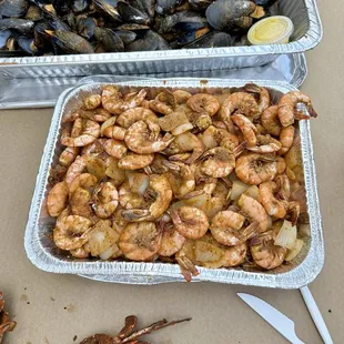 Shrimp