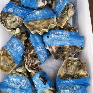 Goose point oysters