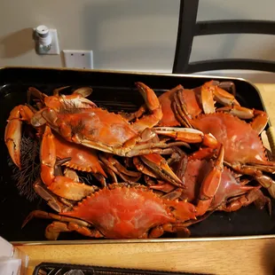 Great crabs! I had the jumbo crabs. Just the best around. Wait staff was good, and they have onions.