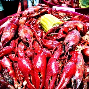 Ice didn't kill all the big ones