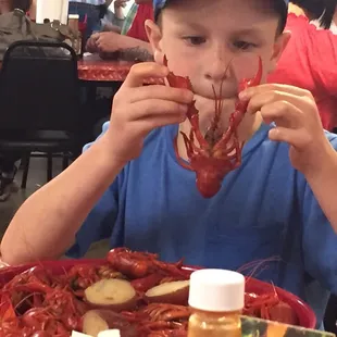 Big ol' Louisiana crawfish!