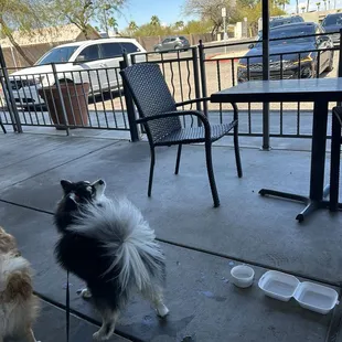 The patio. They brought water cups.