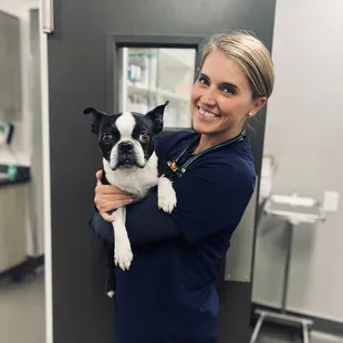 Blue came in for his annual wellness visit today!