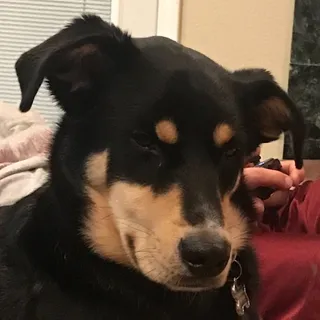M H.