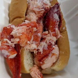 THE Maine Lobster Roll