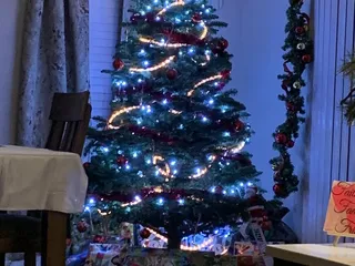 Buckelew Farms Christmas Trees