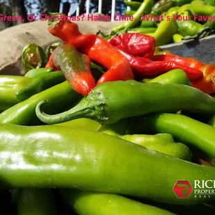 New Mexico's beloved Hatch Green Chile