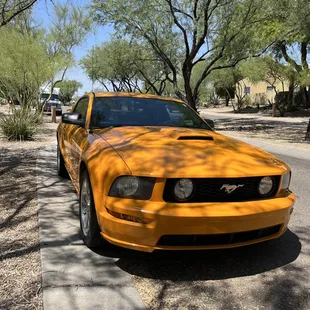 Looks like brand new!  Thank you, Rick's Collision &amp; Refinishing