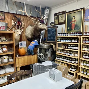 a deer head mounted on the wall