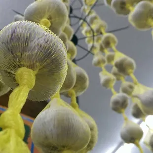 Colorado Organic Garlic Cloves!