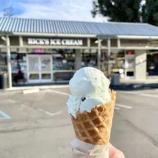 Mint chip on waffle cone