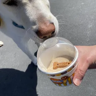 Peanut butter doggie ice cream