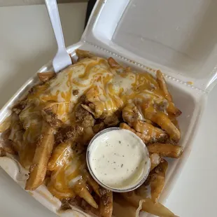 Large Chili cheese fries