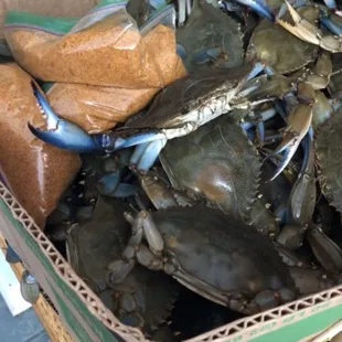 Mix of crabs that we decided to steam at home