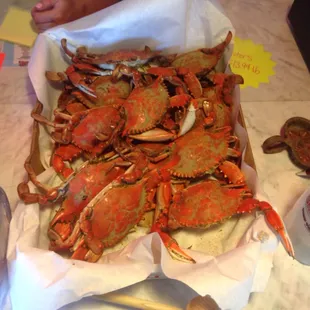 They were as good as they looked.