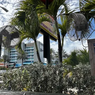 a view of the outside seating area