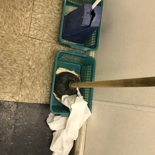 a cat in a litter basket