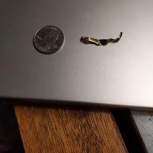 Gnarled piece of metal found in our combination pizza.