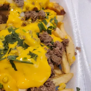 "Carne asada" fries more like boiled/groun beef/mystery meet with no taste and the cheese tasted soapy...