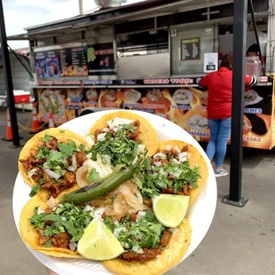 a person holding a plate of tacos