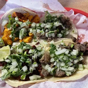 Chorizo Taco, beef Molida Taco, Carne Asada Taco, chicken taco
