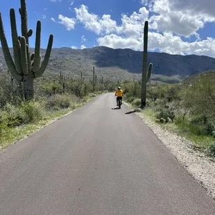 Saguaro National Park