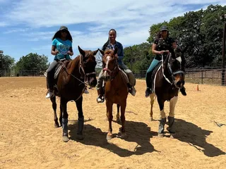 RNR Stables