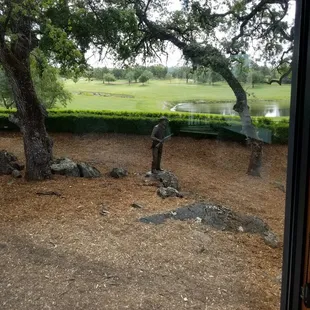 View to the golf course