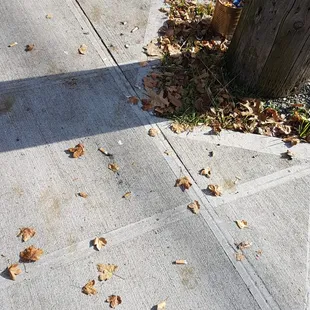 Cigarette butts left by Ridge employees