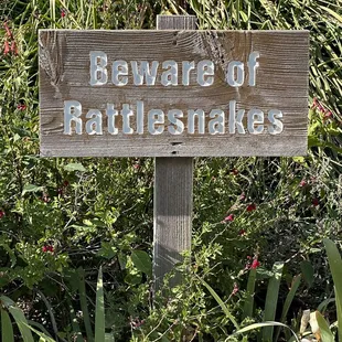 You don't see this every day.