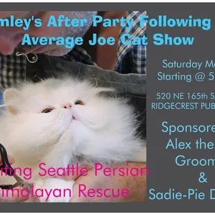 Ridgecrest Public House supports Seattle Persian &amp; Himalayan Rescue :)