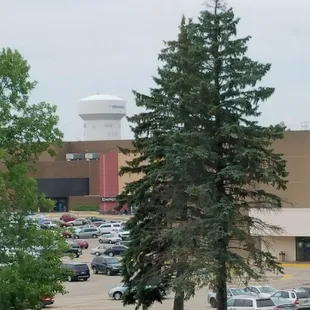 Tree story. View from the weight room